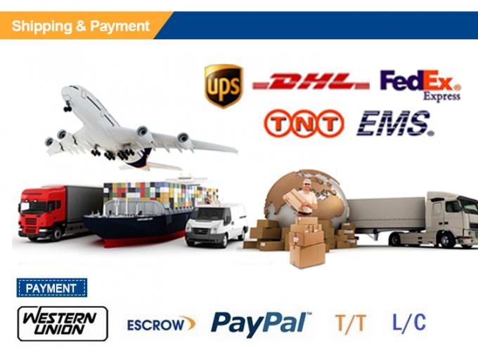 Portate i vostri valori: sacchetti biodegradabili premium con logo in grassetto e stampa a colori 4