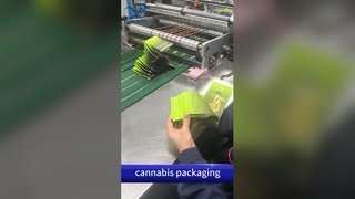 Borse di uscita a prova di bambino: custodia stampata personalizzata B2B antiodore conforme al brevetto statunitense