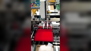 Sacchetti di glassine trasparenti ecologici. Confezione regalo riciclabile certificata FSC