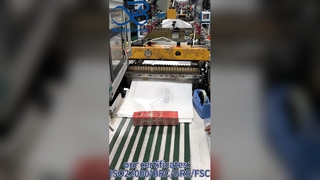 Fabbrica cinese di sacchetti di carta glassine stampati personalizzati Ecologici