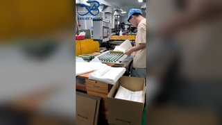 Borsa in glassine bianca semilucida biodegradabile a prova di olio