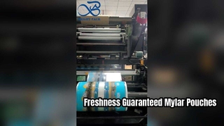 Custodia in Mylar stampata Custodia ermetica richiudibile per uso alimentare