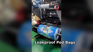 Borse stand-up per il lavaggio di cialde Custodia per biancheria addensata a prova di perdite