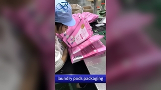 Borsa con cerniera in plastica per cialde per lavanderia: personalizzata all'ingrosso B2B a prova di umidità e a prova di bambino