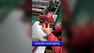 Grossista di borse a prova di bambino: buste stampate personalizzate sicure conformi al brevetto statunitense B2B