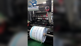 Borsa per l'imballaggio di prodotti al dettaglio resistenti e addensata con custodia in plastica