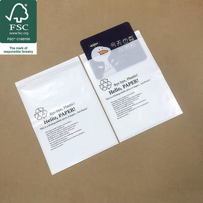 Sacchetti di carta di vetro riciclabili, ecologici, resistenti al grasso, visibilità chiara, ideali per l'artigianato alimentare